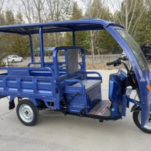 XCY-QD014 1.5m New Energy Electric Tricycle with Canopy