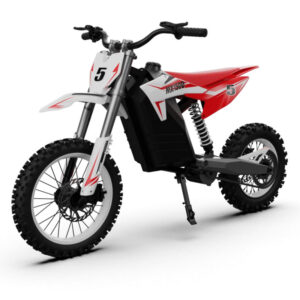 XCY-ED-X1000 Electric Dirt Bike