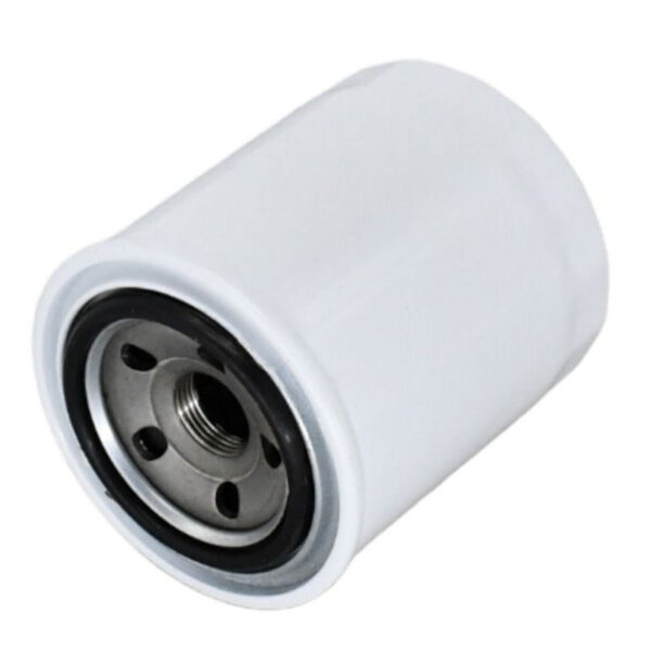 Lube Filter Oil Filter 800158560 for XCMG XE15U Excavator - Image 2