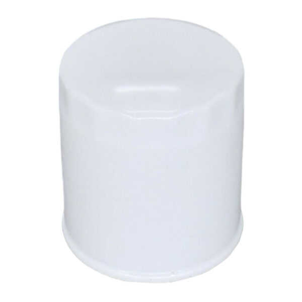 Lube Filter Oil Filter 800158560 for XCMG XE15U Excavator